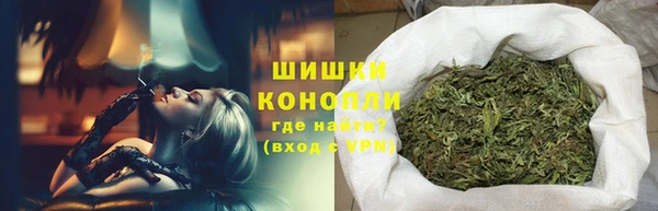 дживик Бородино