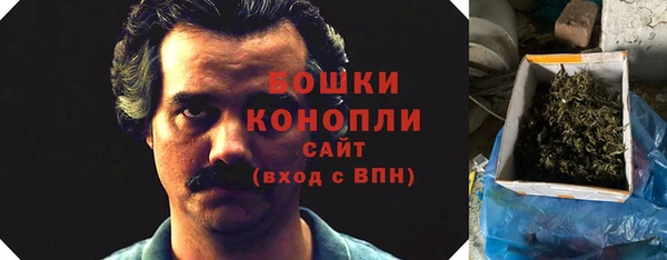 дживик Бородино