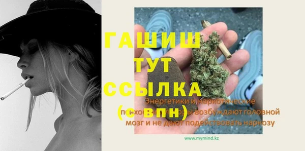 дживик Бородино