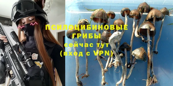 а пвп мука Бронницы