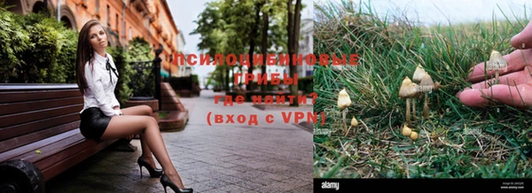 а пвп мука Бронницы