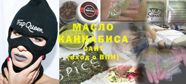дживик Бородино