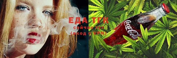 дживик Бородино
