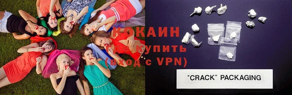 дживик Бородино