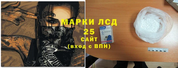 дживик Бородино