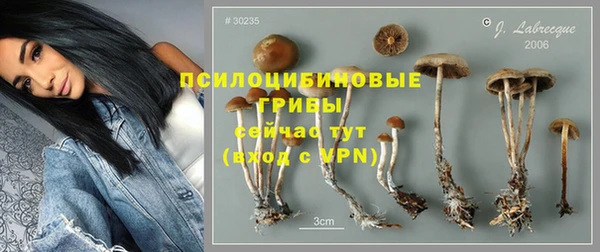 дживик Бородино